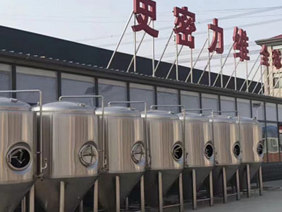 合肥精酿啤酒设备厂—市场规模与跨界新需求